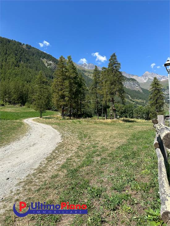 parco avventura circostante