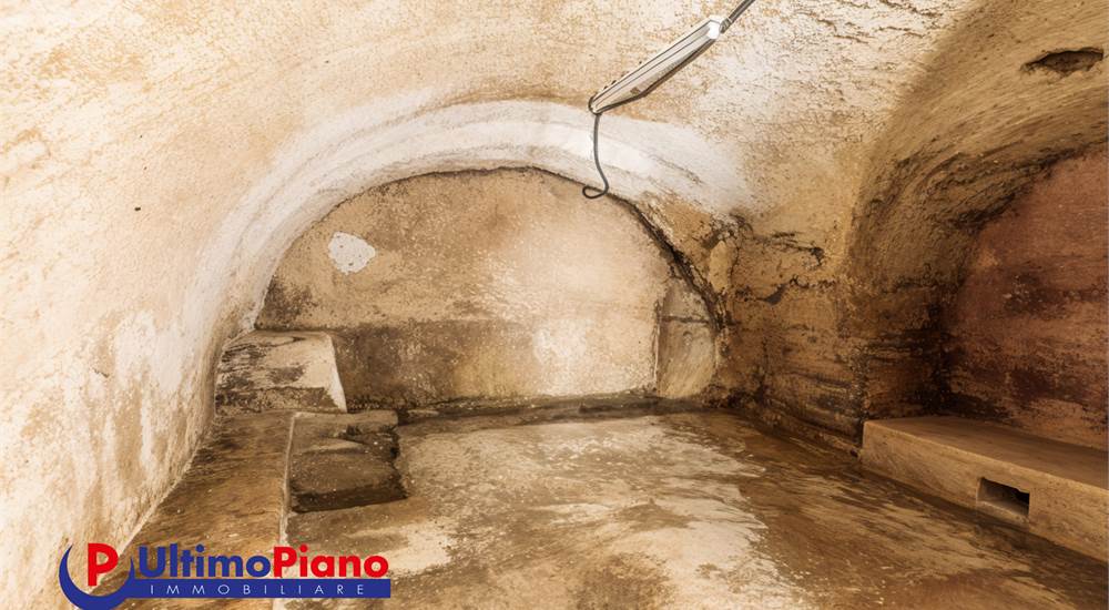 CANTINA 2